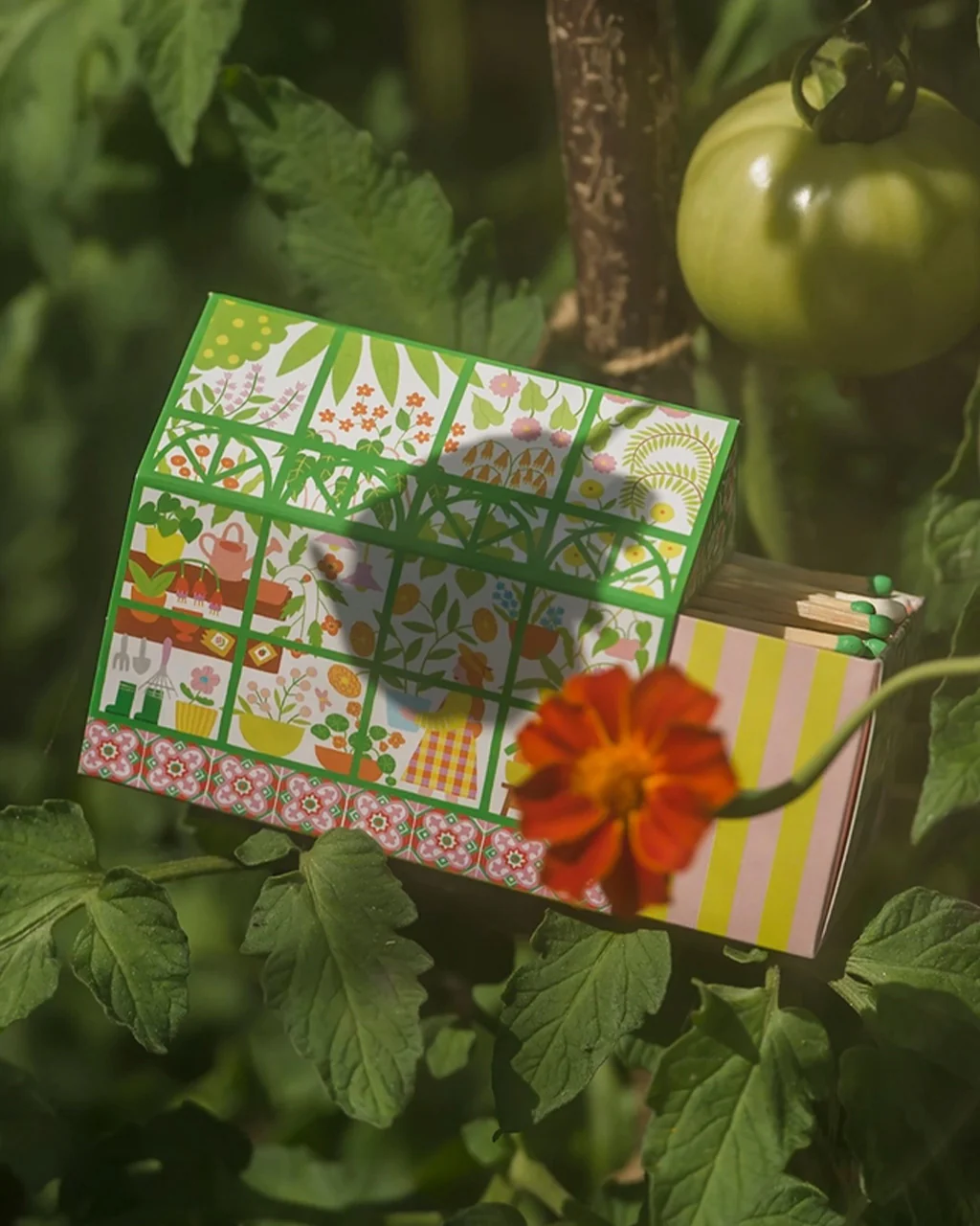 Greenhouse House Safety Matches