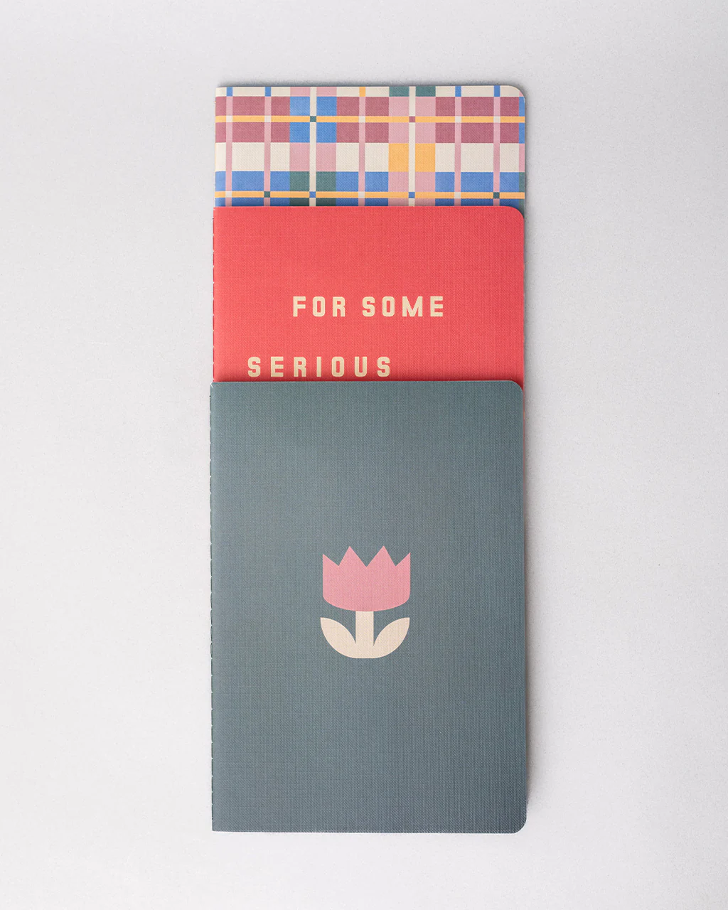 Hold That Thought Notebook Set - Serious Business Only - Image 2