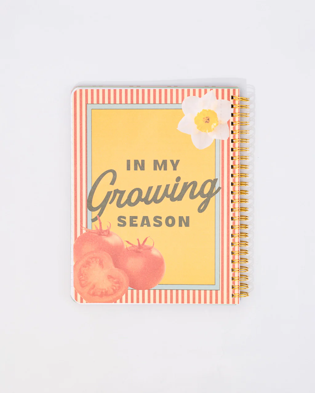 Rough Draft Mini Notebook - Find Me in the Garden - Image 3