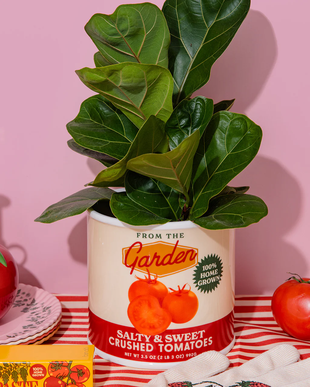 Tomato Can Ceramic Planter - Image 4