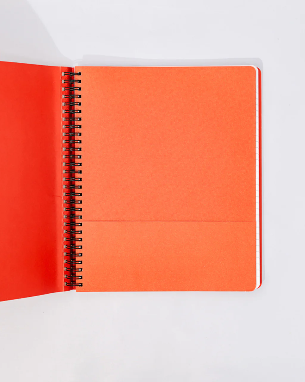 Waterproof Notebook - Planting Seeds of Possibility - Image 4